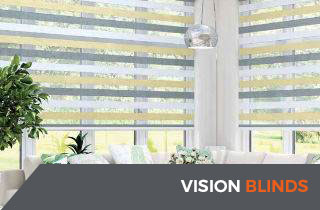 vision blinds